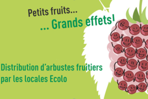 action_distribution_petits_fruitiers